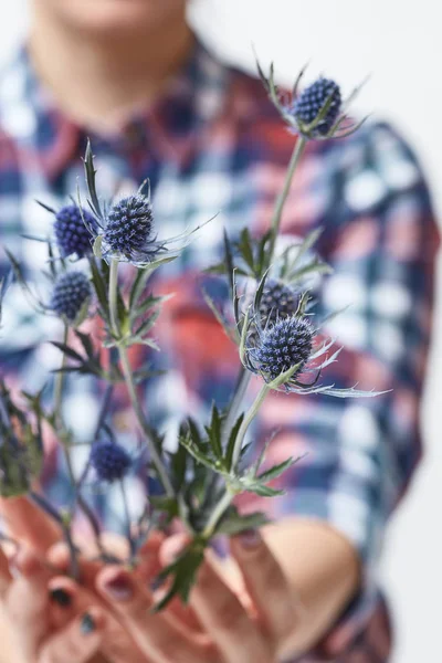 Photo Recadrée Jeune Femme Tenant Bouquet Fleurs Eringium Fraîches Fête — Photo