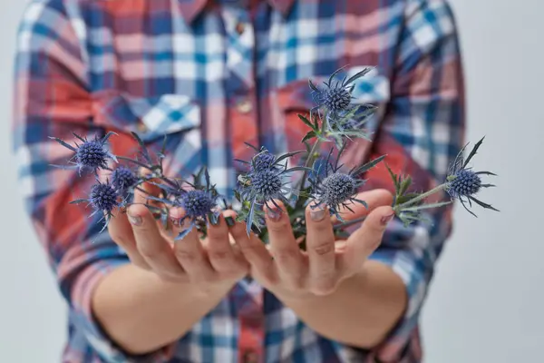 Foto Recortada Mulher Segurando Buquê Flores Frescas Eríngio Conceito Dia — Fotografia de Stock