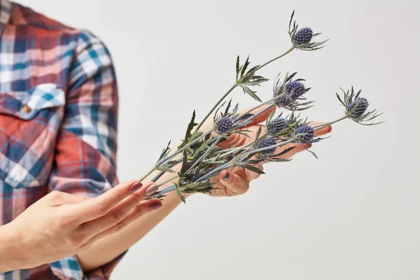 Photo Recadrée Une Jeune Femme Tenant Bouquet Fleurs Eringium Fraîches — Photo