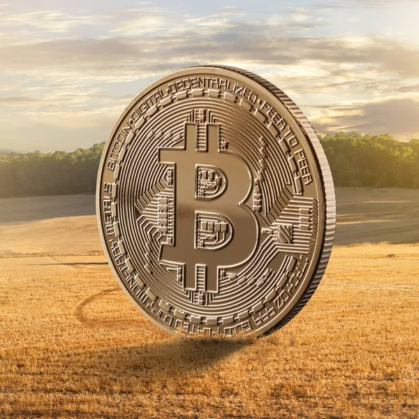 Bitcoin Монета Поле Краєвид Фону Cryptocurrency Blockchain Концепції — стокове фото