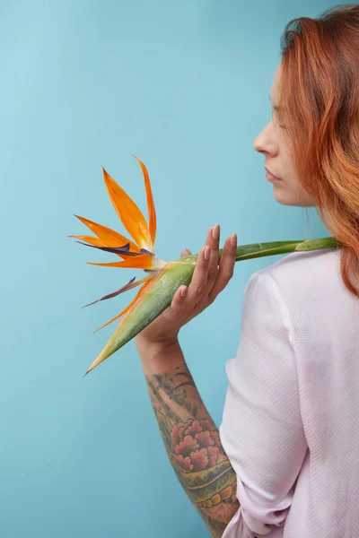 Vista Posteriore Della Giovane Donna Che Tiene Bel Fiore Strelitzia — Foto Stock