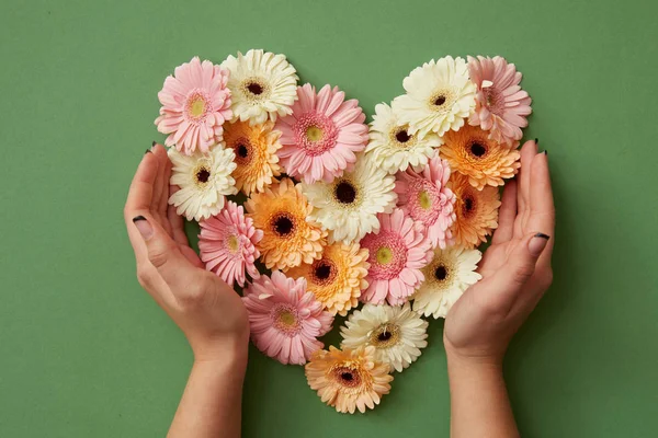 Mãos Femininas Segurando Coração Feito Flores Frescas Gerbera Fundo Verde — Fotografia de Stock