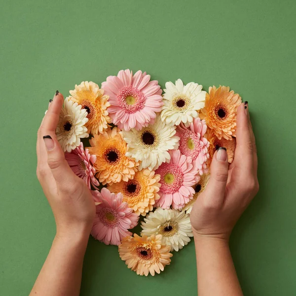 Mãos Femininas Segurando Coração Feito Flores Frescas Gerbera Fundo Verde — Fotografia de Stock