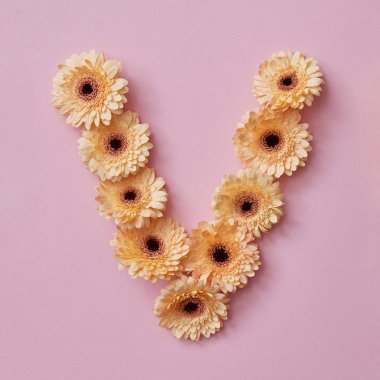 gerbera çiçekleri pembe bir arka plan, aşk sözcüğün, çiçekli alfabe yapılmış L harfi