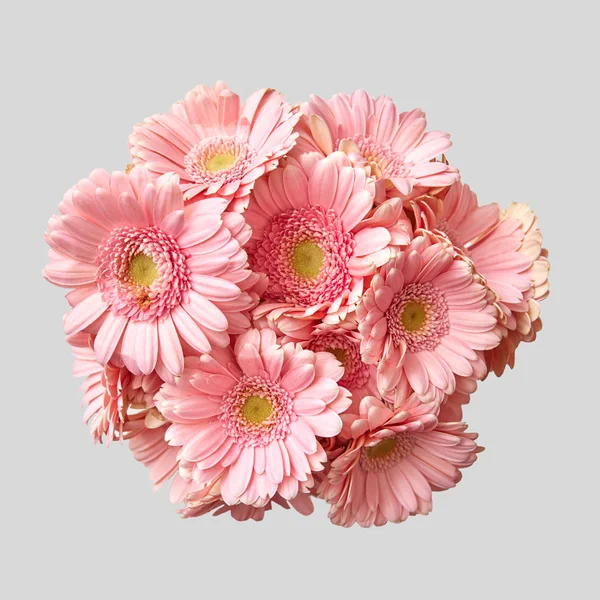 Buket Pembe Gerbera Taze Çiçek Gri Arka Planda Sevgililer Günü — Stok fotoğraf
