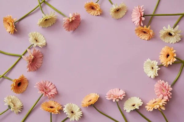 Quadro Flores Coloridas Gerbera Fundo Magenta Dia São Valentim — Fotografia de Stock