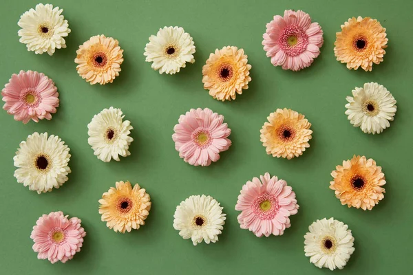 Färsk Gerbera Blommor Grön Bakgrund Alla Hjärtans Dag — Stockfoto