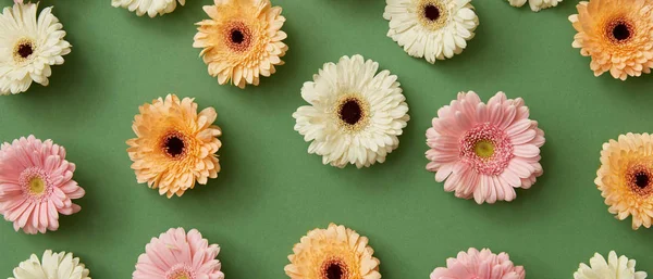 Färsk Gerbera Blommor Grön Bakgrund Alla Hjärtans Dag — Stockfoto