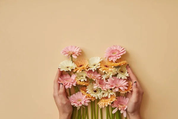 Frauenhände Halten Komposition Aus Frischen Gerbera Blumen Valentinstag Muttertag März — Stockfoto