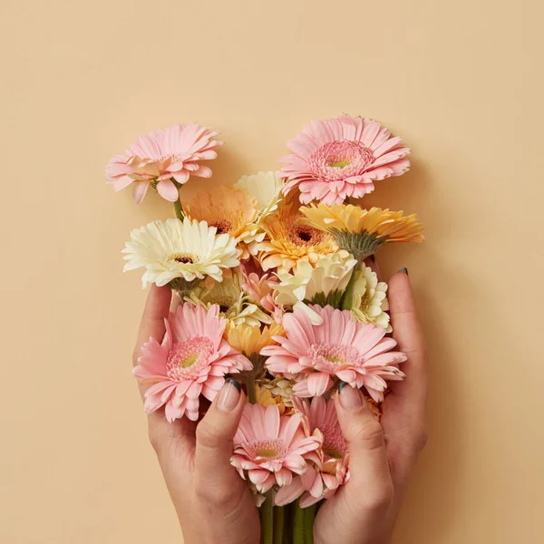 Frauenhände Halten Komposition Aus Frischen Gerbera Blumen Valentinstag Muttertag März — Stockfoto