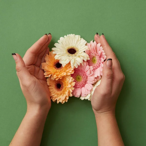 Mãos Femininas Segurando Composição Flores Frescas Gerbera Sobre Fundo Verde — Fotografia de Stock