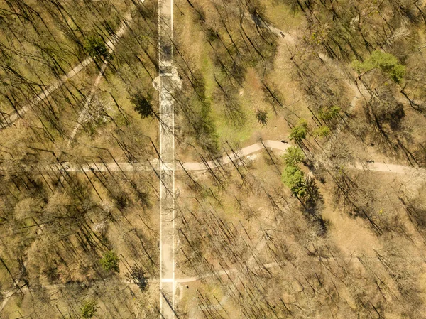 Luftaufnahme Des Parks Mit Spazierwegen Frühling — Stockfoto