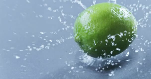 Fresh Ripe Lime Falling Blue Background — Stock Video