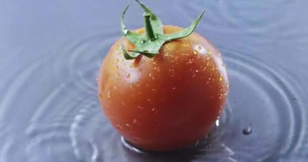 Mano Masculina Girando Tomate Fresco Maduro Sobre Fondo Húmedo Azul — Vídeo de stock