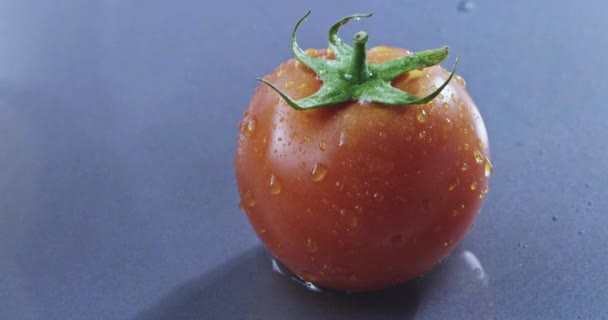 濡れた青い背景の新鮮な完熟トマト — ストック動画