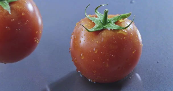 Två Färska Mogna Tomater Faller Våt Blå Bakgrund — Stockvideo