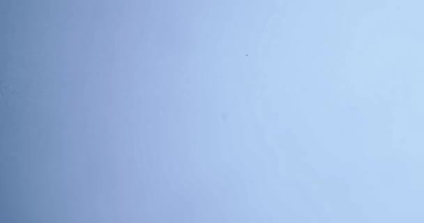 gouttes claires eau tombant sur fond bleu humide, ce qui rend le cercle concentrique 