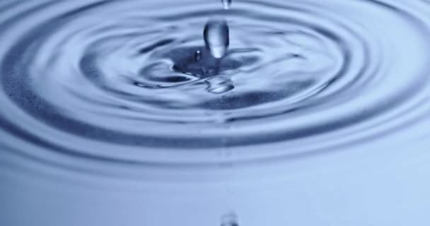 Clear Drops Water Dropping Blue Wet Background Making Concentric Circle — Stock Video