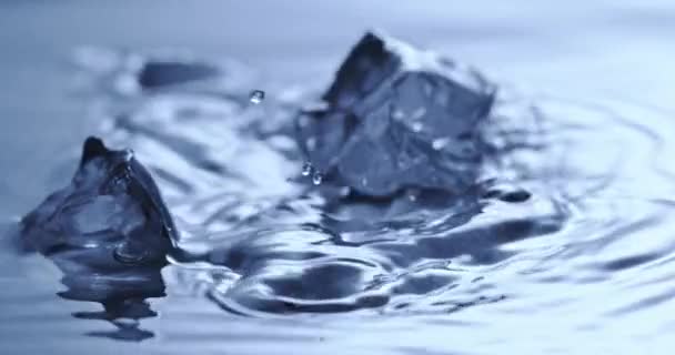 Cubos Gelo Caindo Água Limpa — Vídeo de Stock
