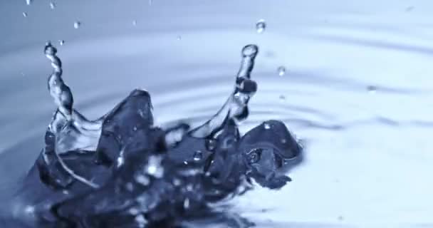 Ice Cubes Falling Clean Water — Stock Video