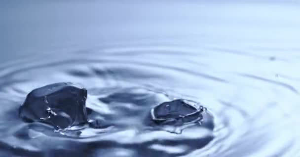 Cubitos Hielo Que Caen Agua Limpia — Vídeos de Stock