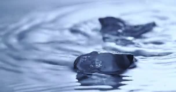 Eiswürfel Die Ins Saubere Wasser Fallen — Stockvideo