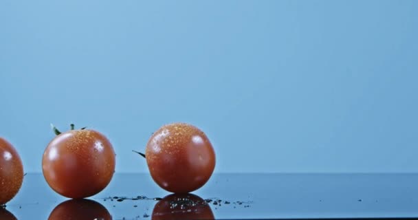 濡れた青い背景の新鮮な完熟トマト — ストック動画