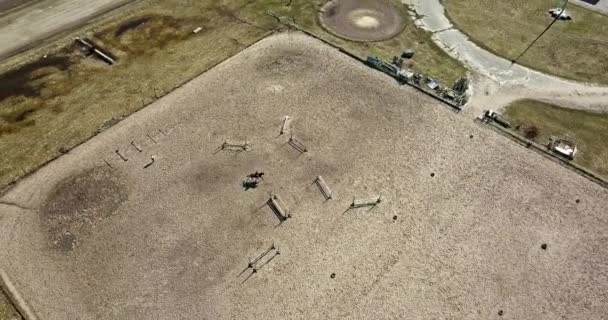 Aerial View Hippodrome Horse People Shadows — Stock Video