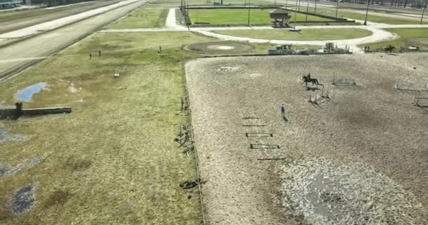 Flygfoto Hippodromen Med Häst Människor Och Skuggor — Stockvideo