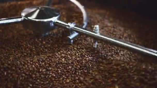 コーヒー豆 ビデオとプロのコーヒー豆を炒る — ストック動画