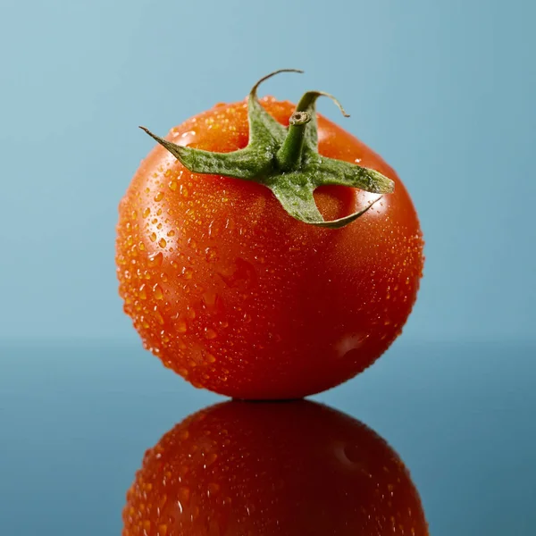 파란색 배경에 신선한 토마토 — 스톡 사진