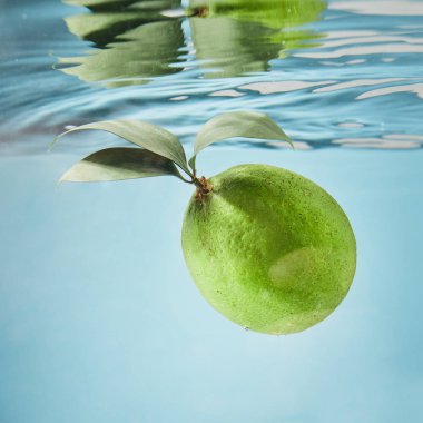 Sualtı düşen olgun limon 