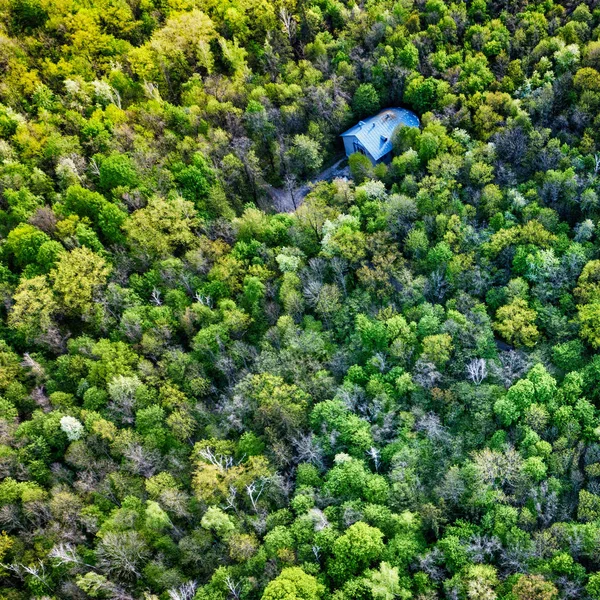 Flygfoto Över Ensamt Hus Skogen Grön Våren Naturlandskap — Stockfoto