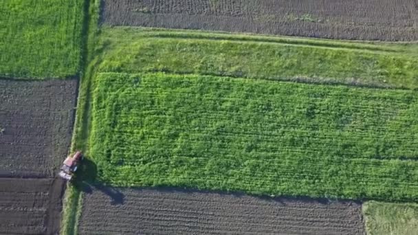 夏の時間でフィールドに収穫後 地面を耕しのパノラマ風景 収穫後フィールドのドローンから空中のトップ ビュー — ストック動画