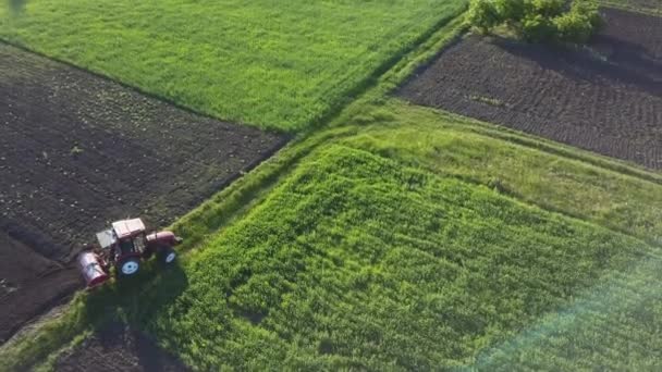 夏季在田野收割后的全景 在收获后的野外无人机上鸟瞰俯视图 — 图库视频影像
