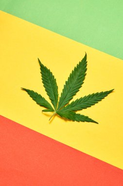 Yeşil marihuana yaprağı ve yumuşak gölgeli renkli kağıttan yapılmış yaratıcı bir kart, kopyalama alanı. Tıbbi pupoz için marihuana kullanımı.