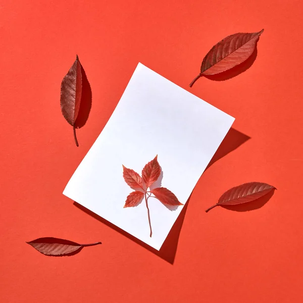 Ευχετήρια Κάρτα Από Πολύχρωμα Φθινοπωρινά Φύλλα Και Άδειο Φύλλο Χαρτιού — Φωτογραφία Αρχείου