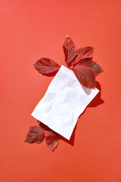 空の紙の白いシートは ハード影 コピースペースとサンゴの背景に赤い色の葉で崩壊した 平置きだグリーティングカード — ストック写真