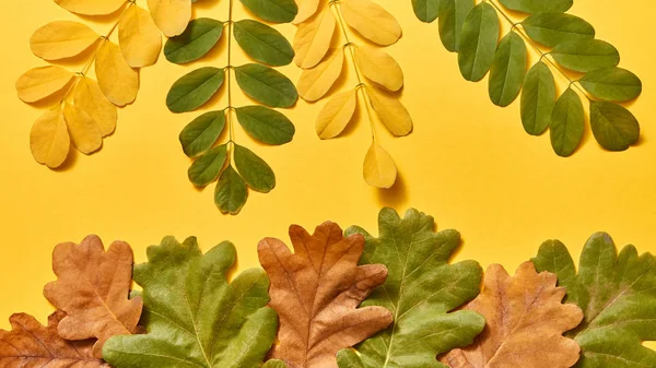 Χειροποίητη Διακοσμητική Σύνθεση Από Φθινοπωρινά Φύλλα Κίτρινο Φόντο Αντιγραφικό Χώρο — Φωτογραφία Αρχείου