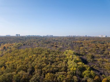 Bir yaz günü mavi gökyüzünün arka planında, şehir binasının siluetiyle birlikte orman bölgesindeki drone 'dan gökyüzü görüntüsü.