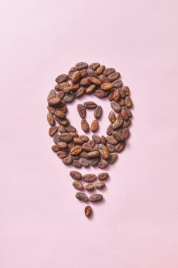 Doğal organik kuru kakao çekirdeğinden yapılmış ampul şekli açık pembe arka planda fotokopi alanı ile. Çikolatadan kaynaklanan gelişmiş insan beyni aktivitesi.