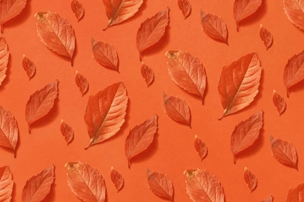 Dekorativní Barevné Ruční Vzor Podzimu Oranžové Listí Různé Velikosti Tvarů — Stock fotografie