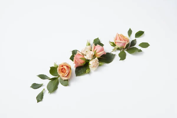 Virágok Gratulációs Kártya Virágzó Rózsa Virágok Zöld Levelek Egy Világosszürke — Stock Fotó