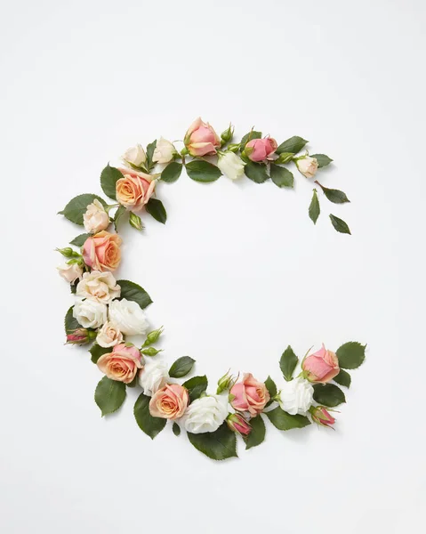 Цвітіння Кутових Квітів Коралових Троянд Зеленим Листям Світло Сірому Фоні — стокове фото