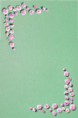 Açık yeşil bir zemin üzerinde, güzel pembe çiçeklerin süsleme çerçevesi ve fotokopi alanı. Sevgililer Günü konsepti.