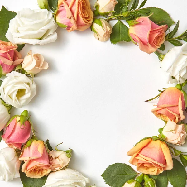 Ανθισμένα Στρογγυλά Λουλούδια Πλαισιώνουν Από Κοραλλιογενή Τριαντάφυλλα Πράσινα Φύλλα Ανοιχτό — Φωτογραφία Αρχείου