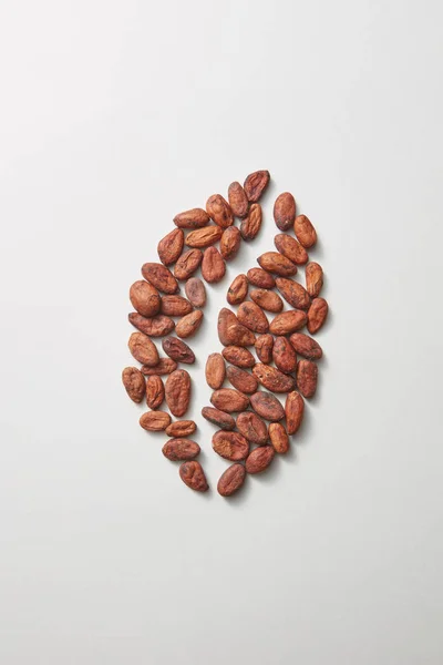 薄い灰色の背景に薄い灰色の背景に新鮮な有機ココアエンドウ豆から作られた大きなコーヒー豆 コピースペース — ストック写真