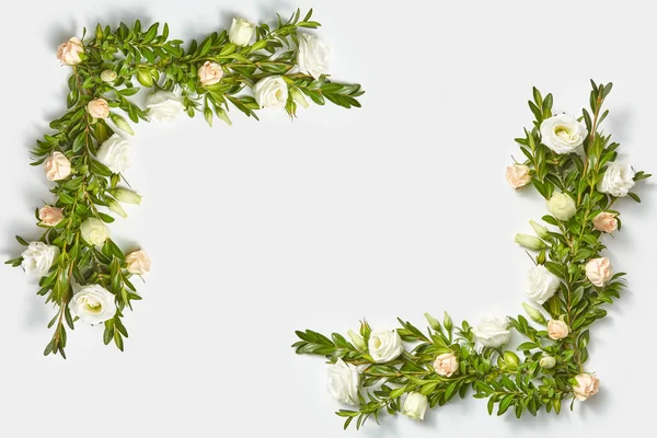 Romantikus Sarok Keret Bokszfa Örökzöld Ágak Virágok Egy Világosszürke Háttér — Stock Fotó
