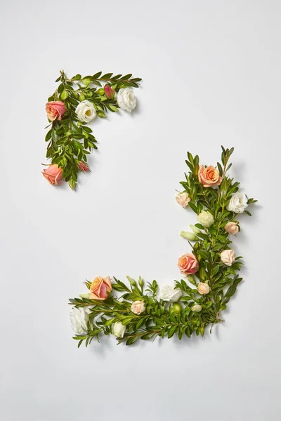 Corner Border Frame Evergreen Twigs Boxwood Coral Natural Roses Flowers — Stock Photo, Image