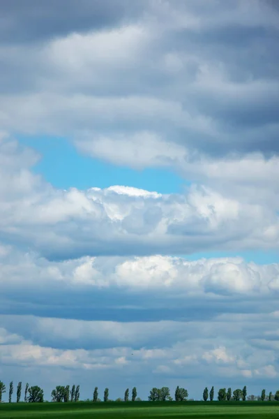 Tira Verde Como Horizonte Fundo Céu Azul Nublado Com Espaço — Fotografia de Stock